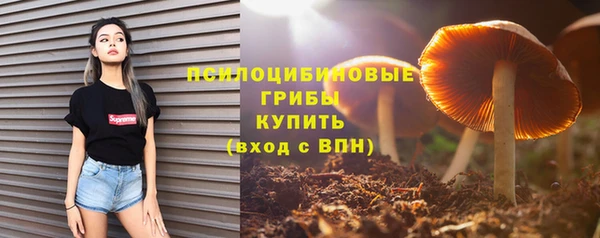 ПСИЛОЦИБИНОВЫЕ ГРИБЫ Вяземский